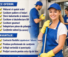 Servicii de Curatenie in Asociatii de Propietari