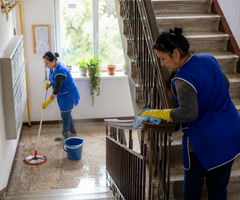 Servicii de Curatenie In Scari de Bloc - Timisoara